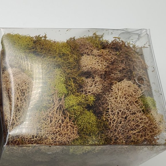 Pier 1 Imports Decorative Filler  2 Boxes Green and Brown Moss New - Picture 4 of 5